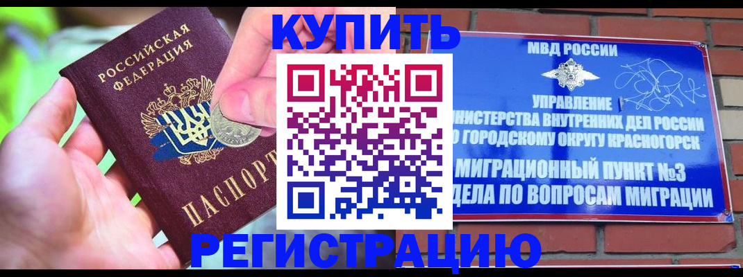 прописка законно в Щёлково