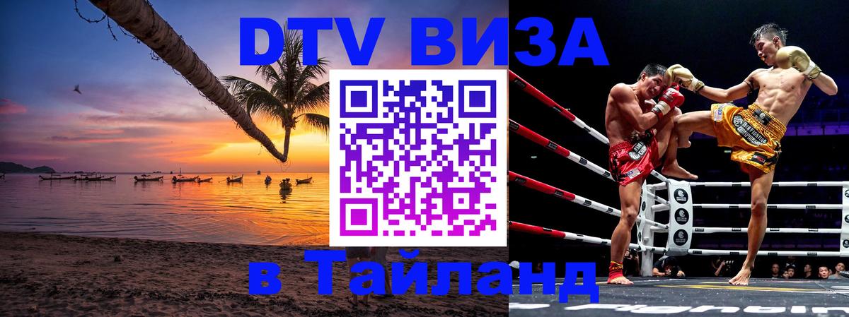 Оформление DTV визы под ключ: стоимость и тарифы, только загранпаспорт - 